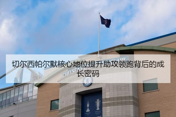 切尔西帕尔默核心地位提升助攻领跑背后的成长密码